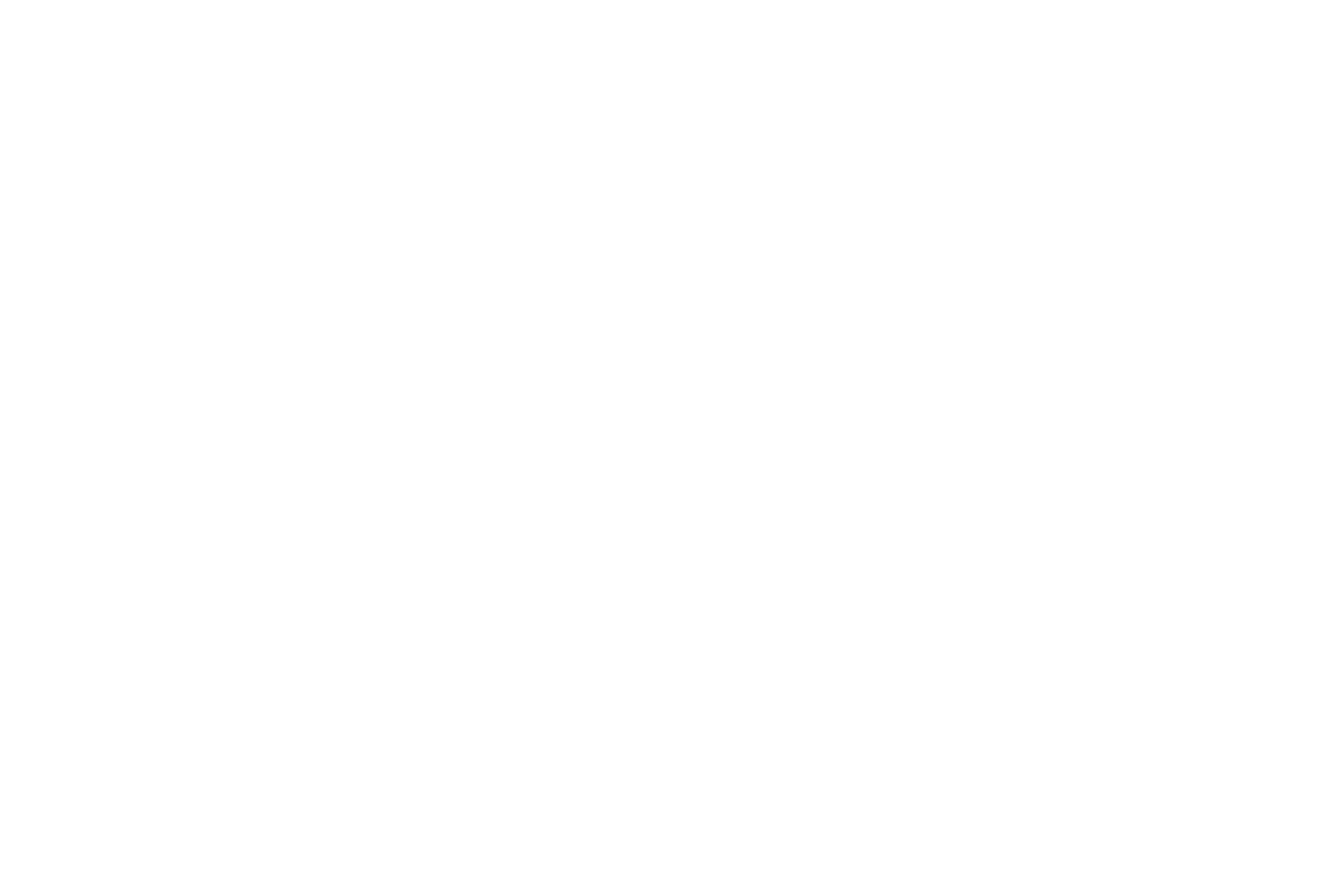 DIMI